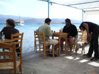 samos_psiliamos_264.jpg (60165 byte)