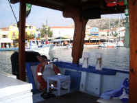 samos (102)  samiopoula picnic go.jpg (66348 byte)